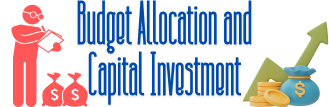 Budget Allocation and Capital Investment