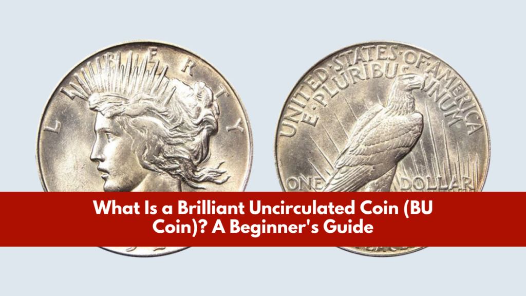 What Is a Brilliant Uncirculated Coin (BU Coin)? A Beginner's Guide