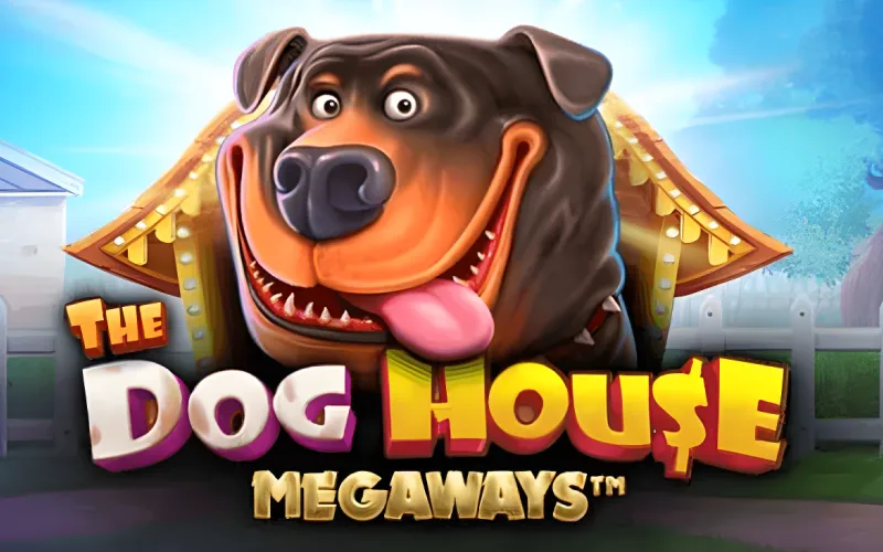 Enjoy playful spins in The Dog House Megaways at Melbet.